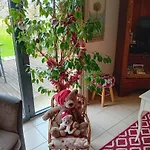 Tatil Evi G5102 *