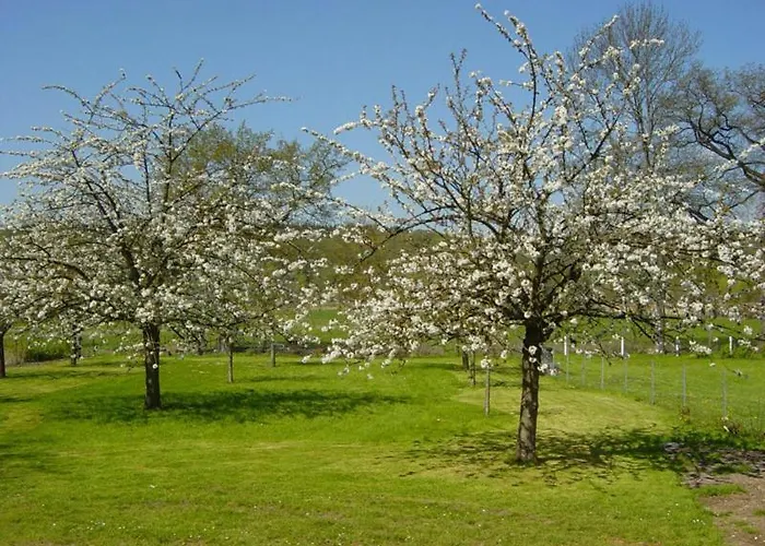 Gite Gites De France - Au Pas De L'Ours Ferienhaus