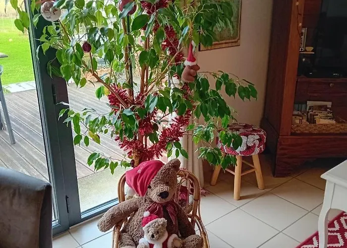 Ferienhaus Gite Gites De France - Au Pas De L'Ours *